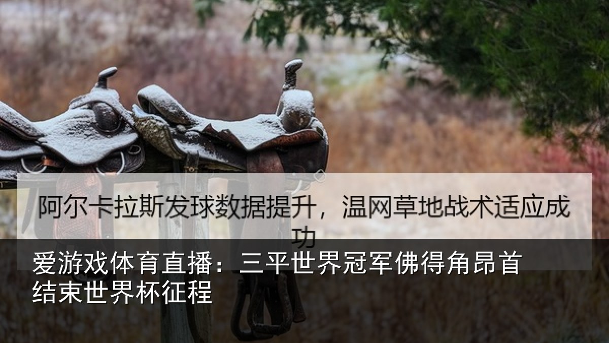爱游戏体育直播：三平世界冠军佛得角昂首结束世界杯征程