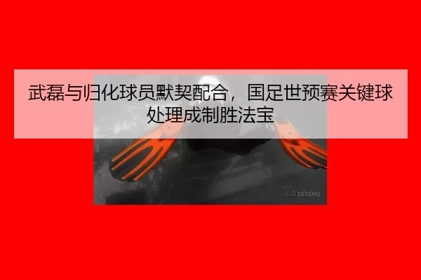 wu-lei-yu-gui-hua-qiu-yuan-mo-qi-pei-he-guo-zu-shi-yu-sai-guan-jian-qiu-chu-li-cheng-zhi-sheng-fa-bao-3-599.jpg