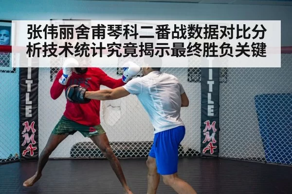 张伟丽舍甫琴科二番战数据对比分析技术统计究竟揭示最终胜负关键